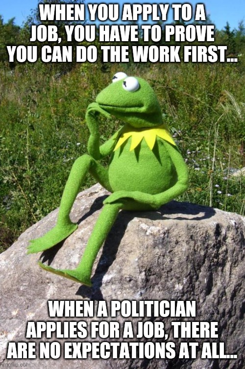 Suddenly Kermit the Frog realizes why politicians are idiots.....no qualifications of course! | WHEN YOU APPLY TO A JOB, YOU HAVE TO PROVE YOU CAN DO THE WORK FIRST... WHEN A POLITICIAN APPLIES FOR A JOB, THERE ARE NO EXPECTATIONS AT ALL... | image tagged in kermit,politicians | made w/ Imgflip meme maker