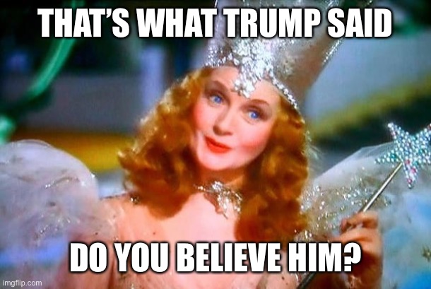 "When you're a star they let you do it, you can do anything." Well? Do you actually believe him, or his two dozen-plus accusers? | THAT’S WHAT TRUMP SAID; DO YOU BELIEVE HIM? | image tagged in glinda the good witch,metoo,sexual assault,sexual harassment,trump is an asshole,trump is a moron | made w/ Imgflip meme maker