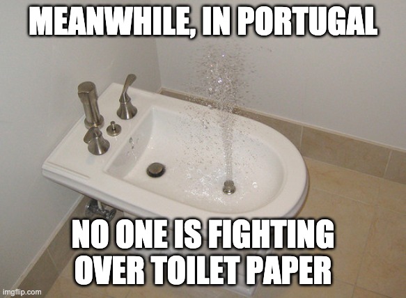 no toilet paper |  MEANWHILE, IN PORTUGAL; NO ONE IS FIGHTING OVER TOILET PAPER | image tagged in toilet paper,portugal,coronavirus | made w/ Imgflip meme maker