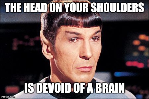 Condescending Spock | THE HEAD ON YOUR SHOULDERS IS DEVOID OF A BRAIN | image tagged in condescending spock | made w/ Imgflip meme maker