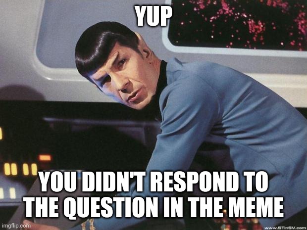 Spock | YUP YOU DIDN'T RESPOND TO THE QUESTION IN THE MEME | image tagged in spock | made w/ Imgflip meme maker