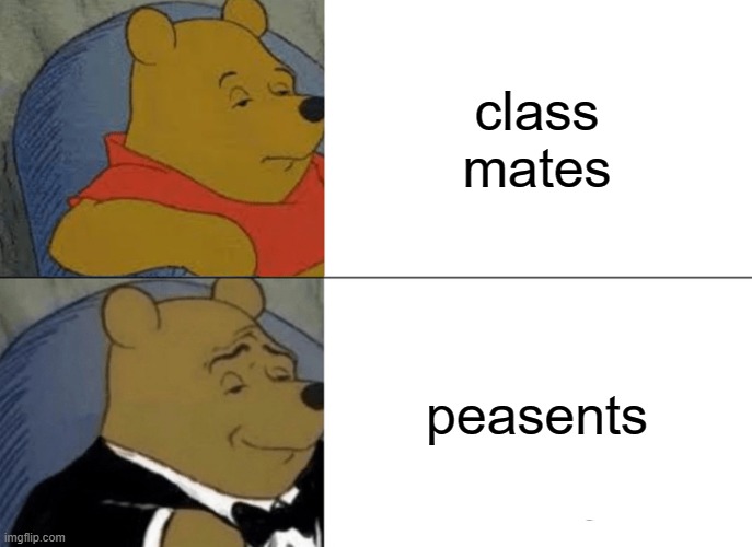 Tuxedo Winnie The Pooh | class mates; peasants | image tagged in memes,tuxedo winnie the pooh | made w/ Imgflip meme maker