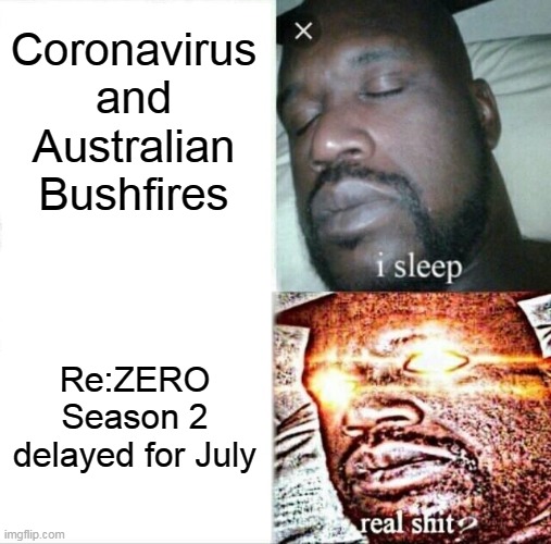 Sleeping Shaq Meme | Coronavirus and Australian Bushfires; Re:ZERO Season 2 delayed for July | image tagged in memes,sleeping shaq | made w/ Imgflip meme maker