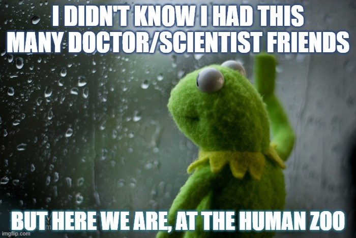 Kermit the frog rainy day | I DIDN'T KNOW I HAD THIS MANY DOCTOR/SCIENTIST FRIENDS; BUT HERE WE ARE, AT THE HUMAN ZOO | image tagged in kermit the frog rainy day | made w/ Imgflip meme maker