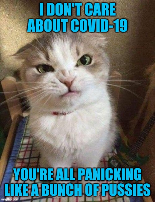 My inbox is full of Covid-19 statements, so here's mine | I DON'T CARE ABOUT COVID-19; YOU'RE ALL PANICKING LIKE A BUNCH OF PUSSIES | image tagged in angry cat | made w/ Imgflip meme maker