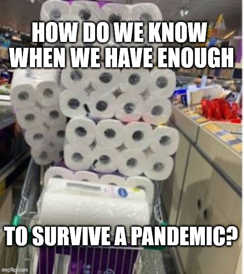 HOW DO WE KNOW  WHEN WE HAVE ENOUGH; TO SURVIVE A PANDEMIC? | image tagged in pandemic | made w/ Imgflip meme maker