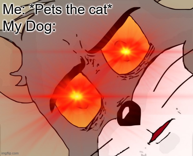 Me: *Pets the cat*; My Dog: | image tagged in cat,hate,dog | made w/ Imgflip meme maker