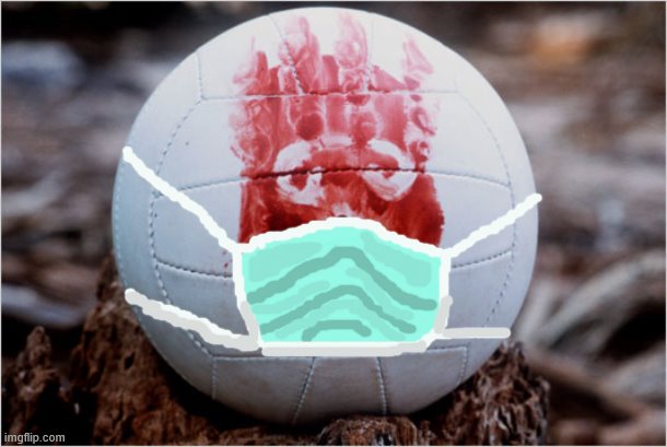 Wilson volleyball Castaway | image tagged in wilson volleyball castaway | made w/ Imgflip meme maker