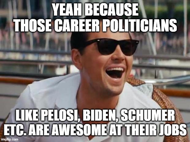 haha | YEAH BECAUSE THOSE CAREER POLITICIANS LIKE PELOSI, BIDEN, SCHUMER ETC. ARE AWESOME AT THEIR JOBS | image tagged in haha | made w/ Imgflip meme maker