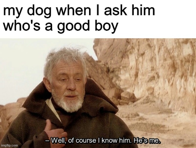 Of Course I Know Him | my dog when I ask him
who's a good boy | image tagged in of course i know him | made w/ Imgflip meme maker