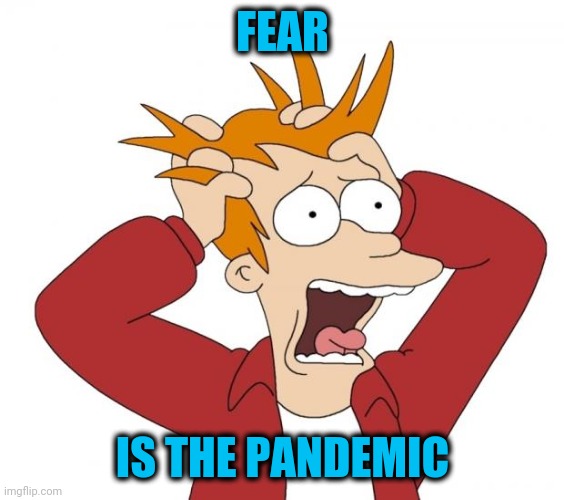 Covid-19 is not a pandemic | FEAR; IS THE PANDEMIC | image tagged in panic | made w/ Imgflip meme maker