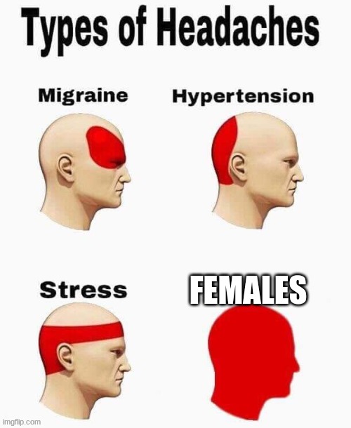 headache | FEMALES | image tagged in headache | made w/ Imgflip meme maker