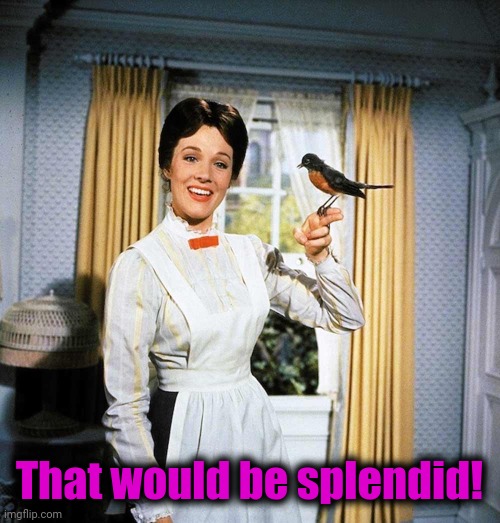 Mary Poppins | That would be splendid! | image tagged in mary poppins | made w/ Imgflip meme maker