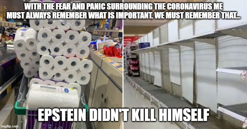Toilet Paper Epstein | WITH THE FEAR AND PANIC SURROUNDING THE CORONAVIRUS ME MUST ALWAYS REMEMBER WHAT IS IMPORTANT. WE MUST REMEMBER THAT... EPSTEIN DIDN'T KILL HIMSELF | image tagged in jeffrey epstein,coronavirus,hoarding,panic buying | made w/ Imgflip meme maker