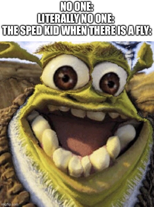 Shrek | NO ONE:
LITERALLY NO ONE: 
THE SPED KID WHEN THERE IS A FLY: | image tagged in shrek | made w/ Imgflip meme maker