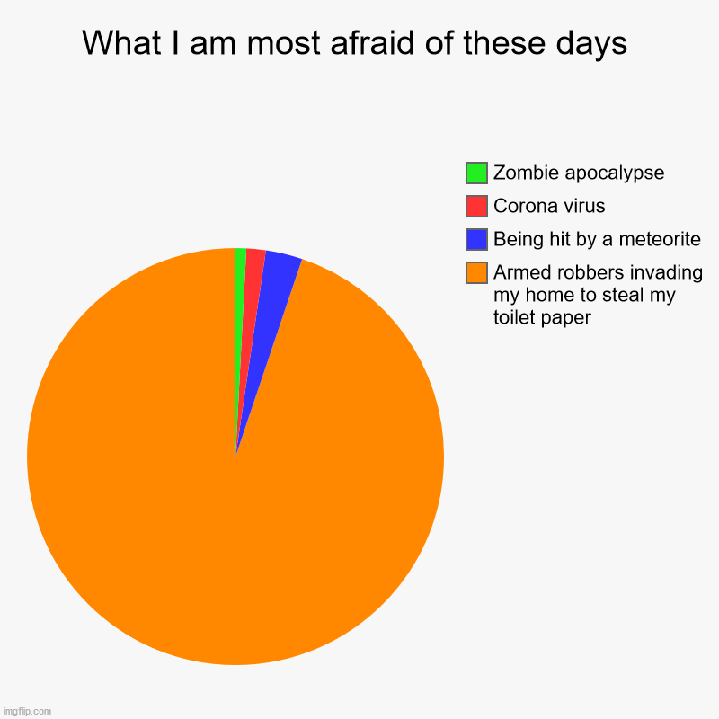 Brrr... | What I am most afraid of these days | Armed robbers invading my home to steal my toilet paper, Being hit by a meteorite, Corona virus, Zombi | image tagged in charts,pie charts,coronavirus,toilet paper | made w/ Imgflip chart maker