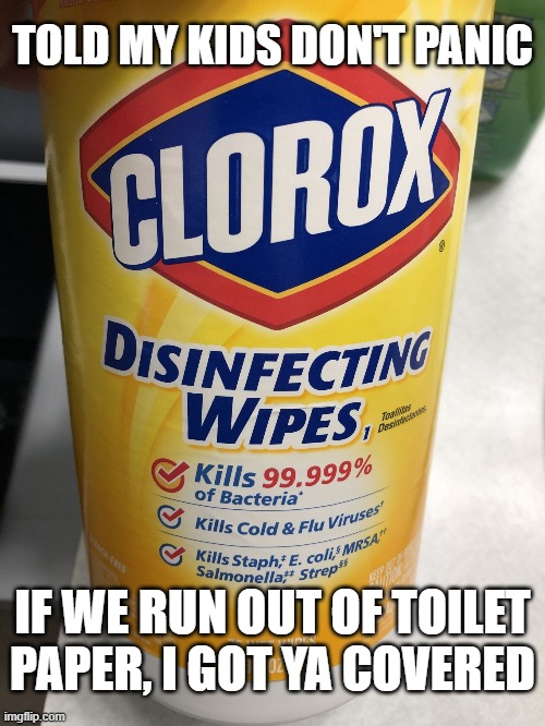 2 Birds / 1 Stone | TOLD MY KIDS DON'T PANIC; IF WE RUN OUT OF TOILET PAPER, I GOT YA COVERED | image tagged in clorox wipes,coronavirus,covid-19,toilet paper | made w/ Imgflip meme maker
