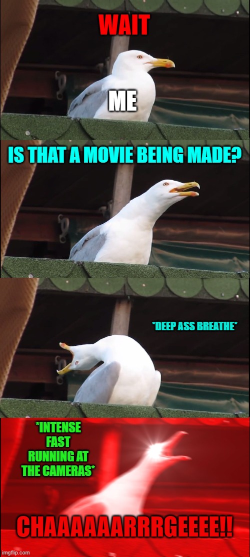 Inhaling Seagull | WAIT; ME; IS THAT A MOVIE BEING MADE? *DEEP ASS BREATHE*; *INTENSE FAST RUNNING AT THE CAMERAS*; CHAAAAAARRRGEEEE!! | image tagged in memes,inhaling seagull | made w/ Imgflip meme maker