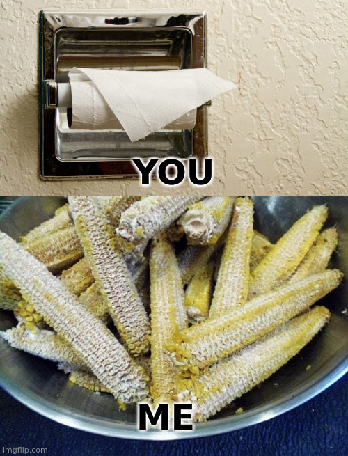 YOU; ME | image tagged in toliet roll never changed | made w/ Imgflip meme maker