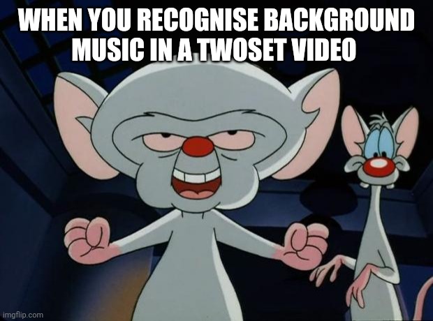 Pinky and the Brain | WHEN YOU RECOGNISE BACKGROUND MUSIC IN A TWOSET VIDEO | image tagged in pinky and the brain | made w/ Imgflip meme maker