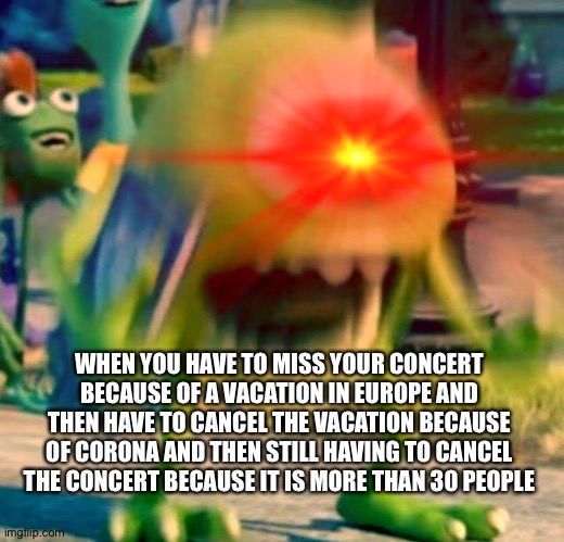 My summary of 2020 | WHEN YOU HAVE TO MISS YOUR CONCERT BECAUSE OF A VACATION IN EUROPE AND THEN HAVE TO CANCEL THE VACATION BECAUSE OF CORONA AND THEN STILL HAVING TO CANCEL THE CONCERT BECAUSE IT IS MORE THAN 30 PEOPLE | image tagged in mike wazowski,coronavirus | made w/ Imgflip meme maker