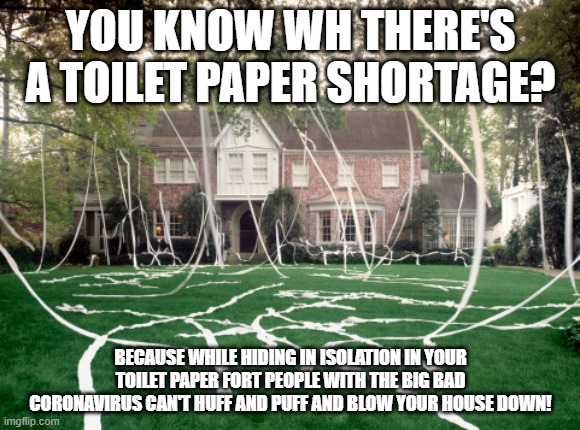 Toilet Paper house | YOU KNOW WH THERE'S A TOILET PAPER SHORTAGE? BECAUSE WHILE HIDING IN ISOLATION IN YOUR TOILET PAPER FORT PEOPLE WITH THE BIG BAD CORONAVIRUS CAN'T HUFF AND PUFF AND BLOW YOUR HOUSE DOWN! | image tagged in toilet paper house | made w/ Imgflip meme maker