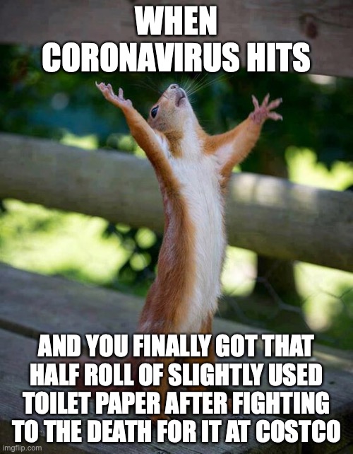 The struggle is real, I can't find toilet paper anywhere | WHEN CORONAVIRUS HITS; AND YOU FINALLY GOT THAT HALF ROLL OF SLIGHTLY USED TOILET PAPER AFTER FIGHTING TO THE DEATH FOR IT AT COSTCO | image tagged in squirrel thank god a man is here | made w/ Imgflip meme maker