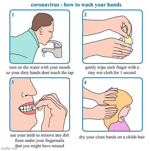 Carona virus how to wash your hands Blank Meme Template