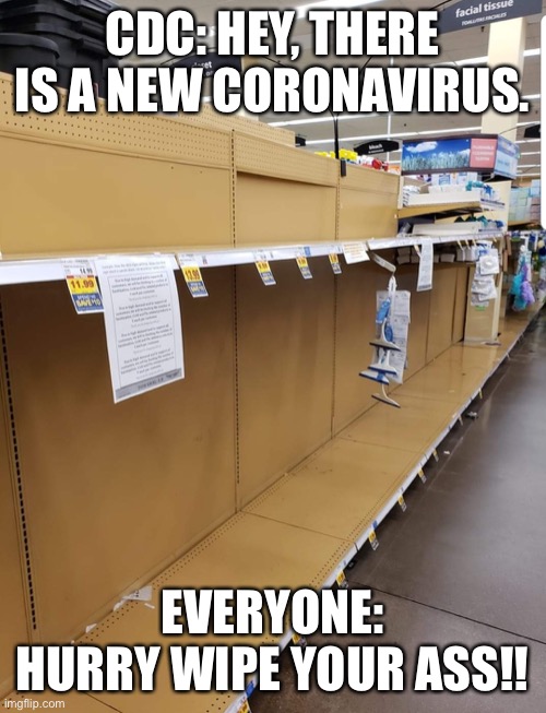 Corona empty shelves | CDC: HEY, THERE IS A NEW CORONAVIRUS. EVERYONE: HURRY WIPE YOUR ASS!! | image tagged in corona empty shelves | made w/ Imgflip meme maker