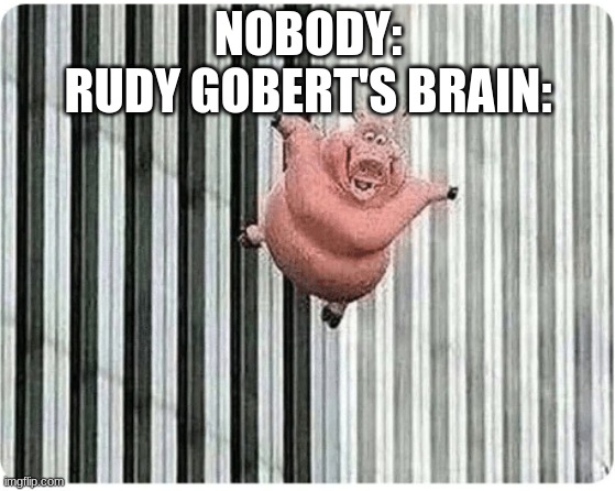 Pig jumping off | NOBODY:
RUDY GOBERT'S BRAIN: | image tagged in pig jumping off | made w/ Imgflip meme maker