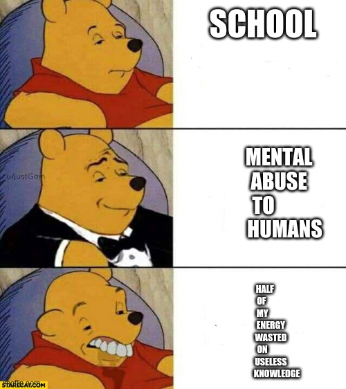 SCHOOL; MENTAL
         ABUSE 
TO
           HUMANS; HALF
OF 
MY
          ENERGY
          WASTED
ON
          USELESS
                 KNOWLEDGE | image tagged in memes,fun | made w/ Imgflip meme maker