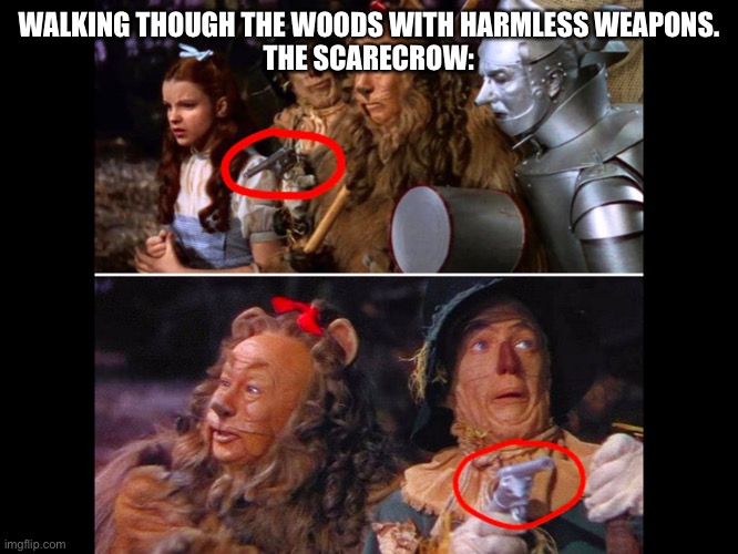 WALKING THOUGH THE WOODS WITH HARMLESS WEAPONS.
THE SCARECROW: | image tagged in the wizard of oz | made w/ Imgflip meme maker
