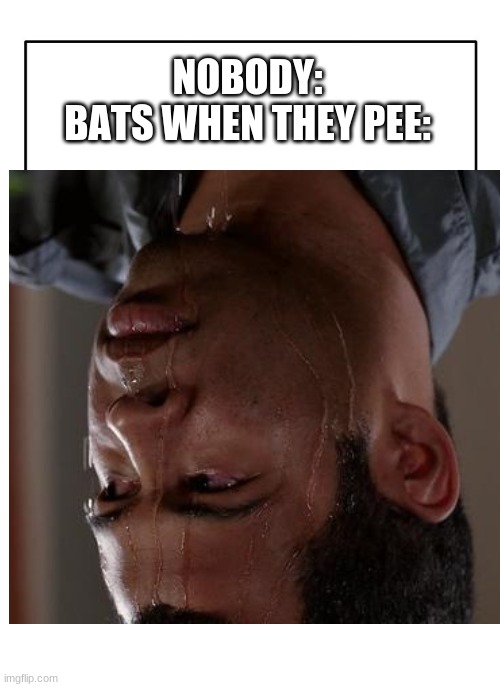 NOBODY:
BATS WHEN THEY PEE: | image tagged in memes,sweating bullets,bats,meme | made w/ Imgflip meme maker