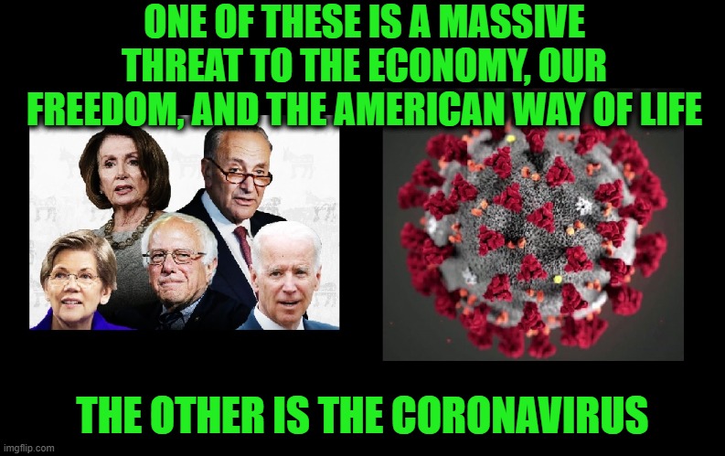 The Truth is a Virus | ONE OF THESE IS A MASSIVE THREAT TO THE ECONOMY, OUR FREEDOM, AND THE AMERICAN WAY OF LIFE; THE OTHER IS THE CORONAVIRUS | image tagged in memes,funny,funny memes,the truth,mxm | made w/ Imgflip meme maker