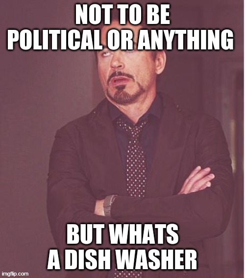 Face You Make Robert Downey Jr |  NOT TO BE POLITICAL OR ANYTHING; BUT WHATS A DISH WASHER | image tagged in memes,face you make robert downey jr | made w/ Imgflip meme maker