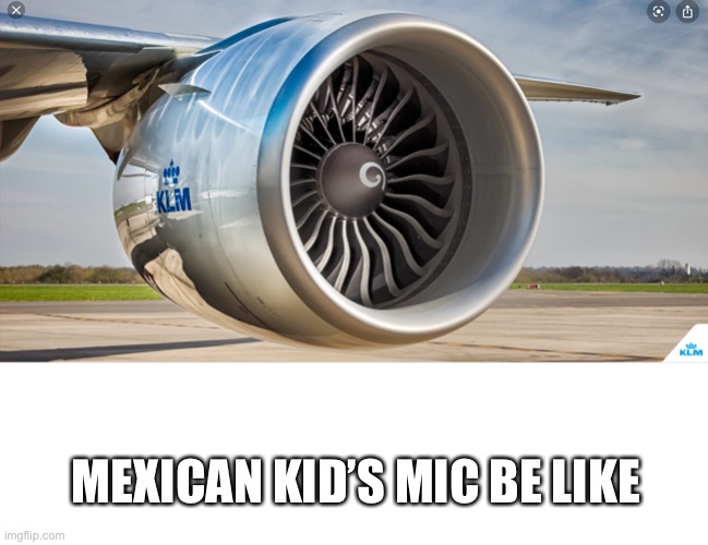 MEXICAN KID’S MIC BE LIKE | image tagged in gaming | made w/ Imgflip meme maker