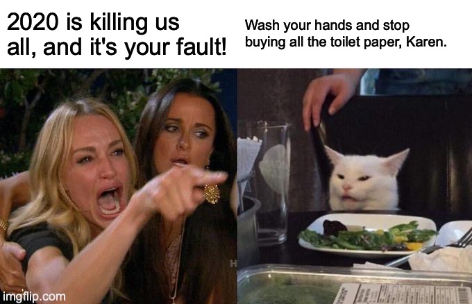 Woman Yelling At Cat Meme | 2020 is killing us all, and it's your fault! Wash your hands and stop buying all the toilet paper, Karen. | image tagged in memes,woman yelling at cat | made w/ Imgflip meme maker