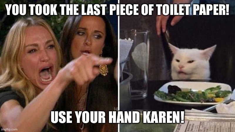 Karen Vs Kyle Meme  Karen  vs  Table Cat Imgflip