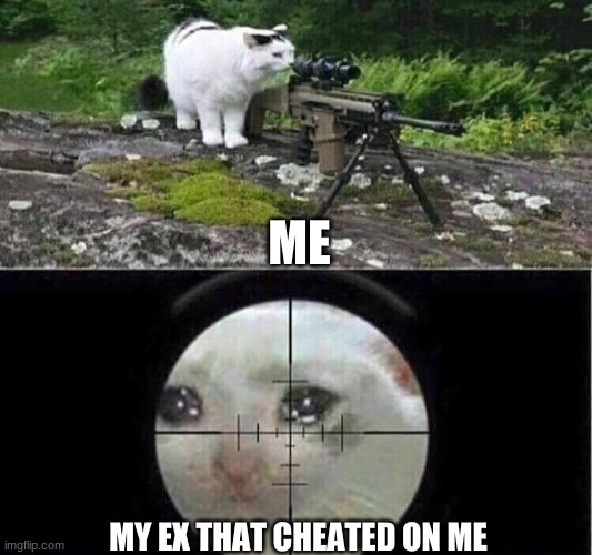 Snipe Shot | ME; MY EX THAT CHEATED ON ME | image tagged in funny cats | made w/ Imgflip meme maker