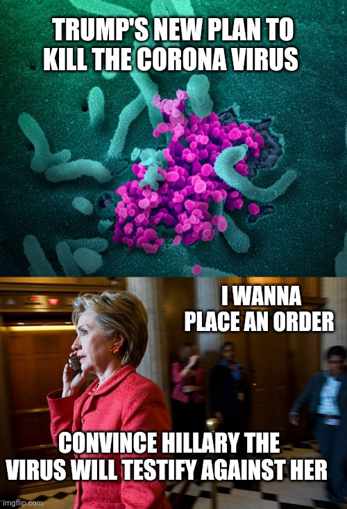 Corona virus commits suicide | TRUMP'S NEW PLAN TO KILL THE CORONA VIRUS; I WANNA PLACE AN ORDER; CONVINCE HILLARY THE VIRUS WILL TESTIFY AGAINST HER | image tagged in hilly body count,corana virus | made w/ Imgflip meme maker