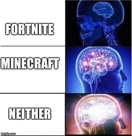3-tier brain | FORTNITE; MINECRAFT; NEITHER | image tagged in 3-tier brain | made w/ Imgflip meme maker