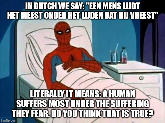 Is fear for suffering really worse than suffering itself? | IN DUTCH WE SAY: "EEN MENS LIJDT HET MEEST ONDER HET LIJDEN DAT HIJ VREEST"; LITERALLY IT MEANS: A HUMAN SUFFERS MOST UNDER THE SUFFERING THEY FEAR. DO YOU THINK THAT IS TRUE? | image tagged in suffering,question,een mens lijdt het meest onder het lijden dat hij vreest | made w/ Imgflip meme maker
