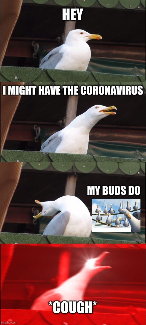 do seagulls get the coronavirus? | HEY; I MIGHT HAVE THE CORONAVIRUS; MY BUDS DO; *COUGH* | image tagged in memes,inhaling seagull | made w/ Imgflip meme maker