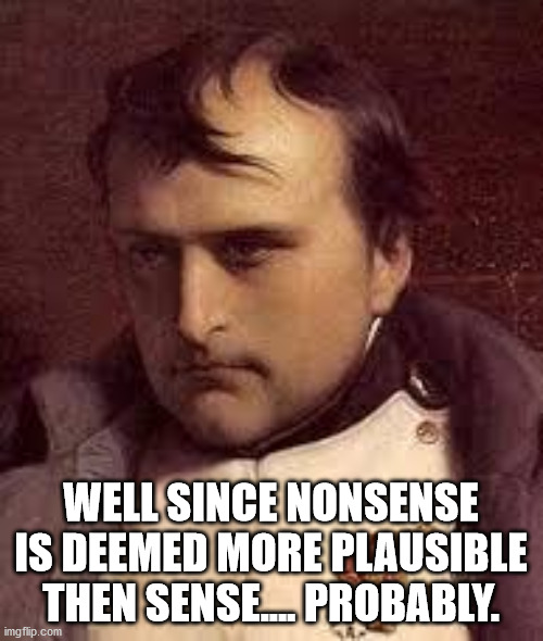 Nonsense Napolaeon | WELL SINCE NONSENSE IS DEEMED MORE PLAUSIBLE THEN SENSE.... PROBABLY. | image tagged in nonsense napolaeon | made w/ Imgflip meme maker