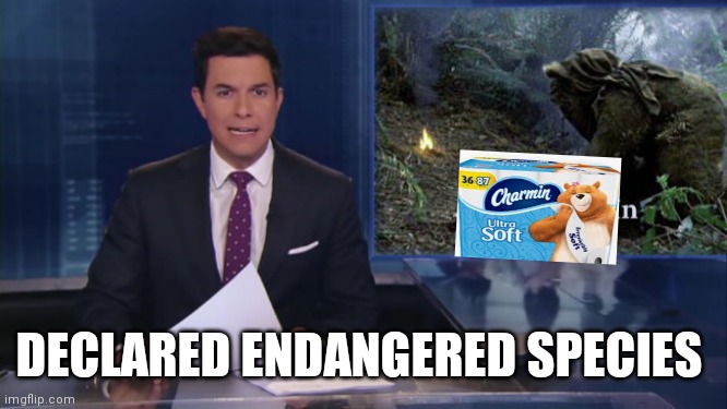 ABC fake news reports | THE ELUSIVE CHARMIN BEAR; DECLARED ENDANGERED SPECIES | image tagged in abc fake news reports | made w/ Imgflip meme maker