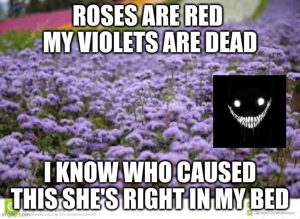 ROSES ARE RED 
MY VIOLETS ARE DEAD; I KNOW WHO CAUSED THIS SHE'S RIGHT IN MY BED | image tagged in roses are red,creepy ryhme,creepy smile | made w/ Imgflip meme maker