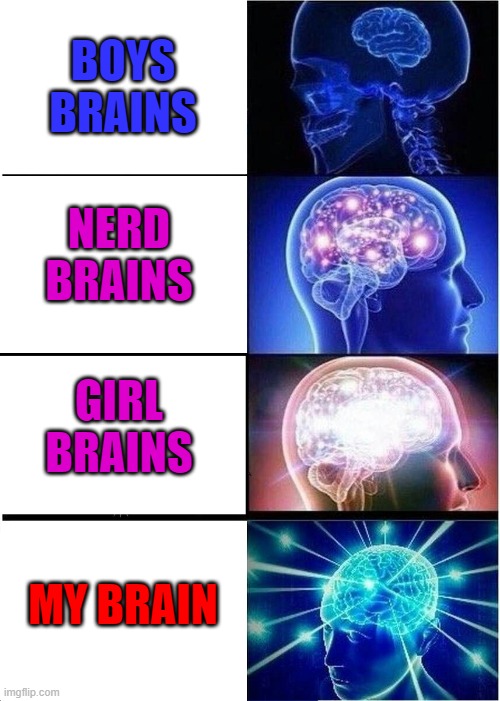 Expanding Brain Meme | BOYS BRAINS; NERD BRAINS; GIRL BRAINS; MY BRAIN | image tagged in memes,expanding brain | made w/ Imgflip meme maker