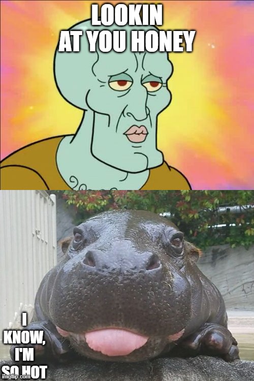 Squidward | LOOKIN AT YOU HONEY; I KNOW, I'M SO HOT | image tagged in memes,squidward | made w/ Imgflip meme maker