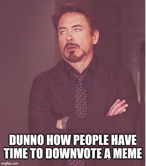 Just ignore if don't like, but don't downvote | DUNNO HOW PEOPLE HAVE TIME TO DOWNVOTE A MEME | image tagged in memes,face you make robert downey jr,lol,haha,funny,funny memes | made w/ Imgflip meme maker