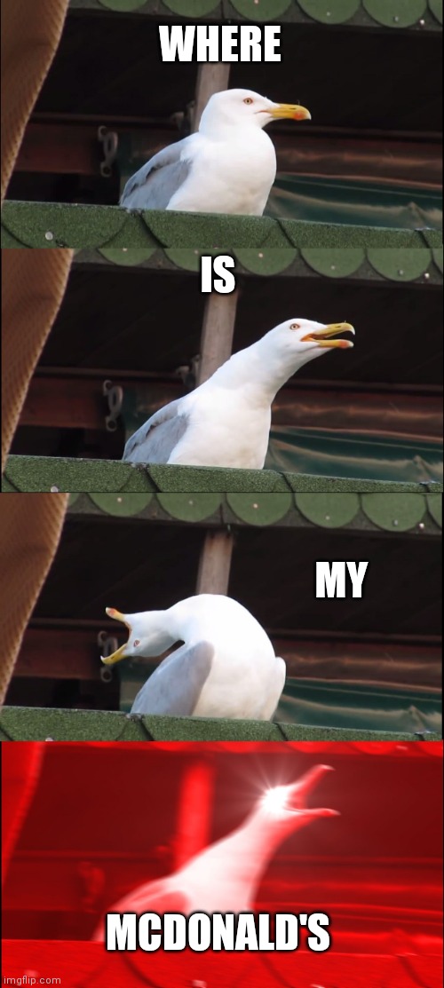 Inhaling Seagull Meme | WHERE; IS; MY; MCDONALD'S | image tagged in memes,inhaling seagull | made w/ Imgflip meme maker